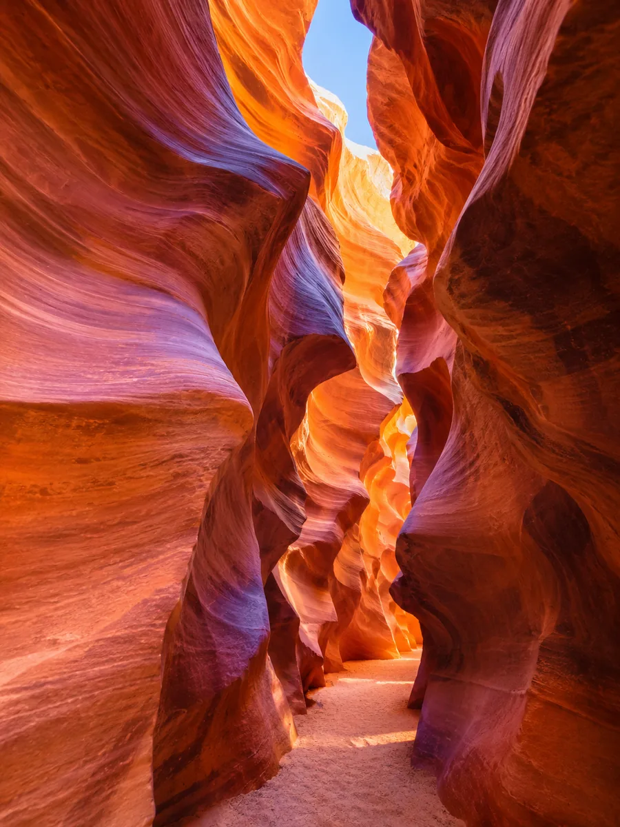 Parois de grès orange et violettes lumineuses à l'intérieur de Lower Antelope Canyon